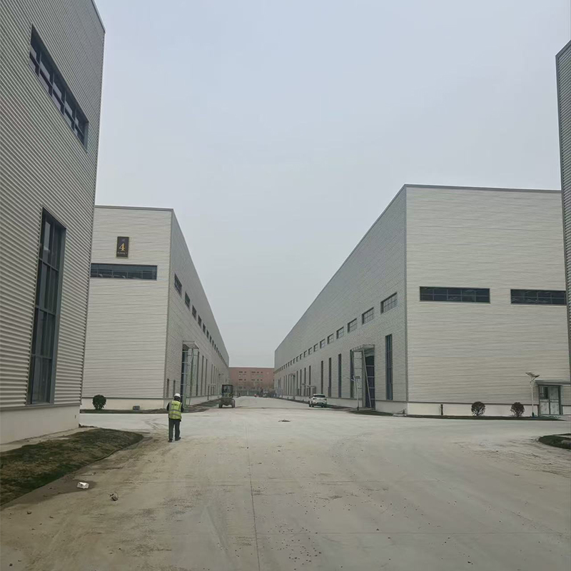 cpzs1